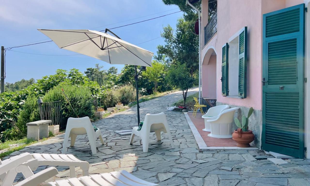 Tavolo da pranzo all'aperto in giardino