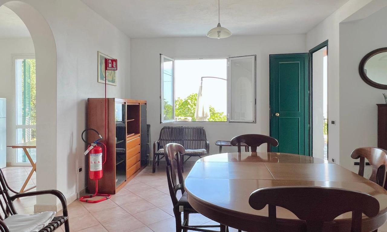 Zona living con divani